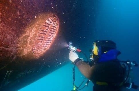 Underwater Inspection & Surveys