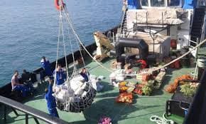 Provision Supply and Vessel Agency - 1