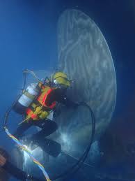 Commercial Diving & Underwater IRM Services - 1