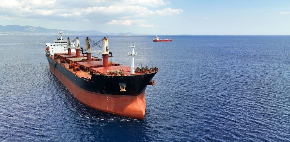 Bulk Cargo Inspection