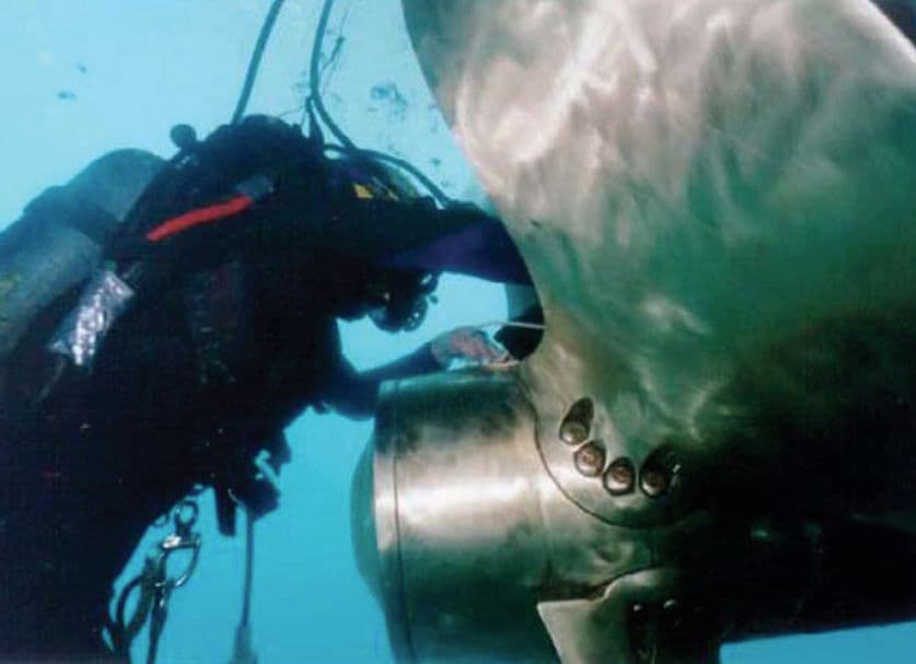 Propeller Polishing Thailand | Underwater Propeller Service | Fuel Efficiency Improvement thumbnail 3